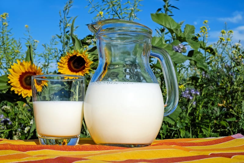 Milk Substitute